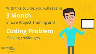 python internship