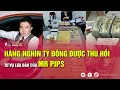 Download Lagu Hàng nghìn tỷ đồng được thu hồi từ vụ lừa đảo của Mr Pips