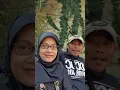 Download Lagu Bunda Rosi dan Ayah Pidi Baiq