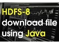 How to download file in Hadoop using Java Api - gett command