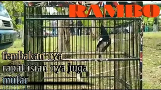 Download aksi Kacer rambo.tembakan nya bikin merinding semua orang MP3