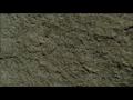 ZhangCarve