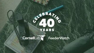 Celebrating Forty Years of Project FeederWatch