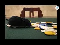 Escape It Grandview Escape Room in Columbus OH Escape Rooms Near Me in Grandview Heights