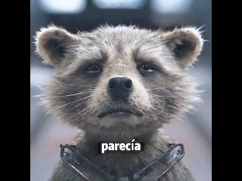 Este mapache es más inteligente que los humanos #peliculas #movie #shorts