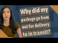Why did my package go from out for delivery to in transit