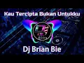 Download Lagu Kau Tercipta Bukan Untukku Remix By Dj Brian Bie