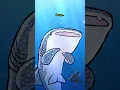 Whale Shark