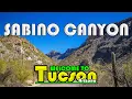 Tucson Arizona Sabino Canyon
