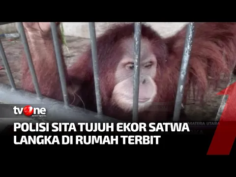 Kasus Kepemilikan Satwa Langka, Bupati Langkat Nonaktif Ditetapkan Sebagai Tersangka