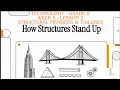 Grade 8 Structural Members And Failures Term 1 Week 5 Lesson 2 Technology