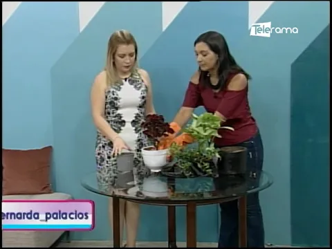 Aprendamos a sembrar una planta para interiores