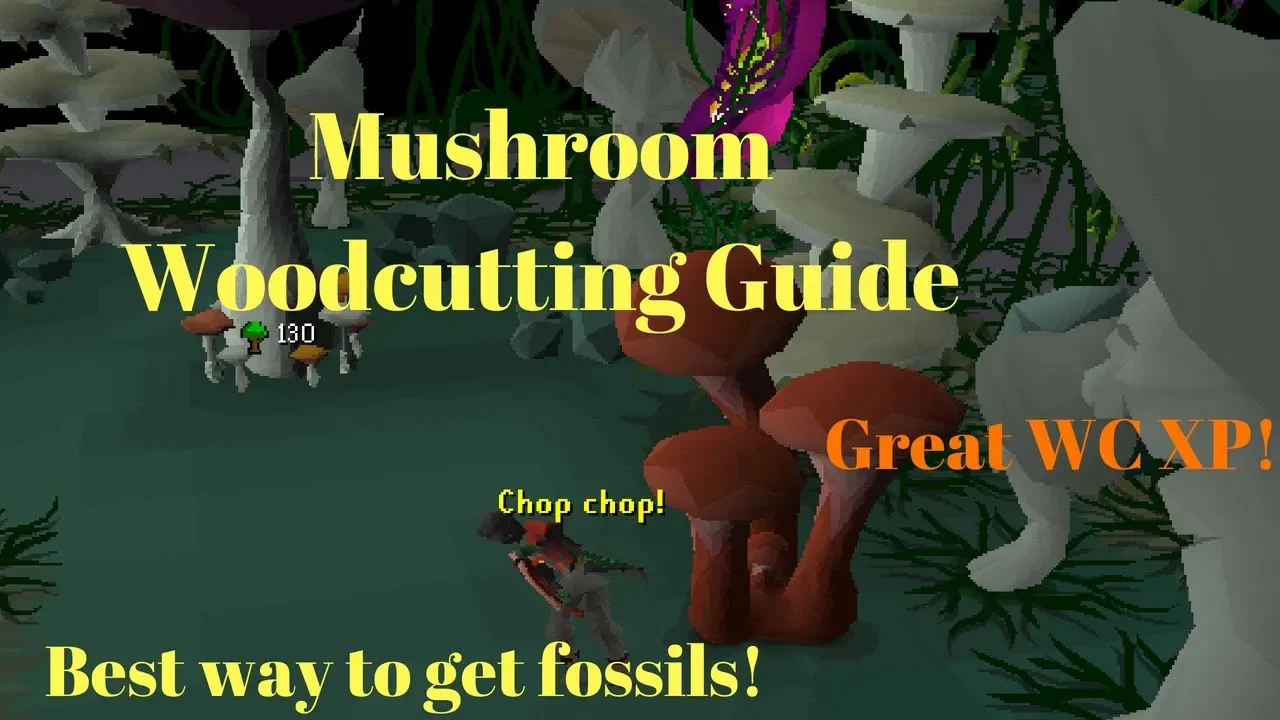 OSRS - Sulliuscep Mushroom Guide [Great WC XP! Best Way to get Fossils!]