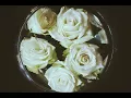 Hector Gachan - Really Something