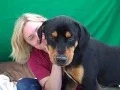 A4947189 Lucky Mix
