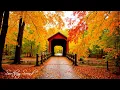 Download Lagu Herstelt het zenuwstelsel🍁Herfstmelodieën voor een vredige geest en genezing van de ziel