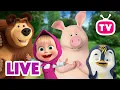 Download Lagu LIVE 🔴 Masha en de Beer 👱‍♀️🐻 Alle Vrienden Samen! 🤗❤️ Masha and the Bear