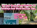 Download Lagu Pemupukan cukup 3ons perPohon, hasil panen nya di luar Logika, (mutiara 16-16-16).