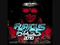 Furious Bass 2010 - Piste 20 - ART OF FIGHTER FEAT. NIKKITA - SymphonY Of The Dead