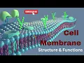 Cell membrane Structure and Functions Biology