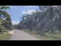 Download Lagu Menyusuri Perjalanan Sitiung-Timpeh, Dharmasraya, Sumbar