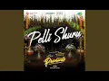 Lagu Pelli Shuru (From \