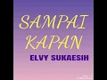 Sampai Kapan - ELVY SUKAESIH ( lagu dangdut jadul )