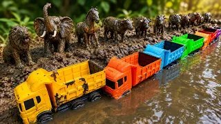 MENOLONG HEWAN TERJEBAK DI LUMPUR: SINGA HARIMAU SAPI KUDA IGUANA KERBAU DOMBA RUSA JAGUAR ELANG