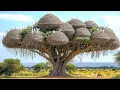 Download Lagu ISI NYA BIKIN MERINDING !! Ini Dia 10 Sarang Hewan Paling Mengerikan dan Aneh Yang Ada Di Dunia