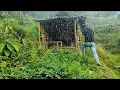 Download Lagu Camping hujan deras di hutan bertahan hidup sendirian di pondok