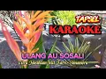 Lagu ULANG AU SOSALI || KARAOKE MUSIK TAPSEL || Citra Hasibuan feat Farro Simamora