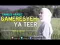 Download Lagu GAMBUS GAMARESYEH COVER (YA TEER) - WAFIQ AZIZAH