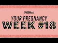 Your pregnancy 18 weeks