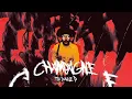 CHAMPAGNE - Tito Double P