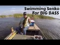 Download Lagu Swimming Senko for BIG BASS
