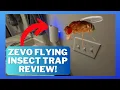 Zevo Flying Insect Trap Review - Does it work to get rid of fruit flies gnats drain flies