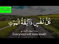 Kullo nasfin zaikatul maut_Beautifull quran recitations #daily Qur’an voice Surah ankabot 
