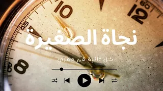 نجاة الصغيرة   أجمل مقطع   كل ثانية في عمري دندنها