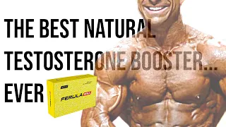 The BEST Test Booster Is Here! Ferula Max