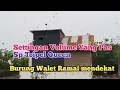 Download Lagu Settingan Volume Sp Tripel Queen