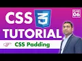 CSS Padding and Margin in Hindi CSS3 Tutorial Class 6