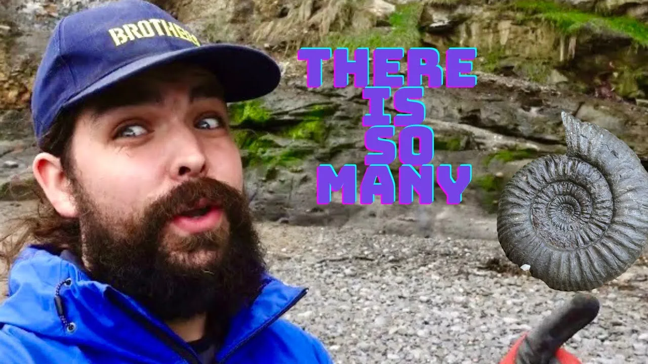 Fossil Hunter Finds A Treasure Trove Of Fossils!
