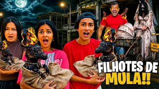 TEMOS QUE CUIDAR DOS BEBÊS MULAS!* fomos obrigados?!