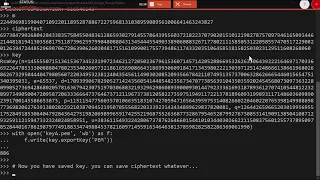 Python3 RSA Encryption Decryption Basic