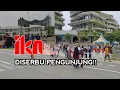 Lagu IKN NUSANTARA DISERBU PENGUNJUNG! Ada Apa Sebenarnya di Sana?
