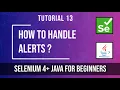 How to Handle Alerts in Selenium Tutorial 13 Selenium tutorial for beginners