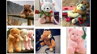 cute teddy teddy bear whatsapp status teddy bear daddy bear photo video 