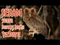 Download Lagu SUARA BURUNG HANTU PALING SERAM TERBARU || penakut wajib tonton