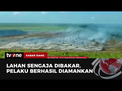 Pelaku Pembakaran Lahan Terancam Hukuman Penjara 15 Tahun
