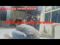 Download Lagu kelak kau telah dewasa ( story wa )